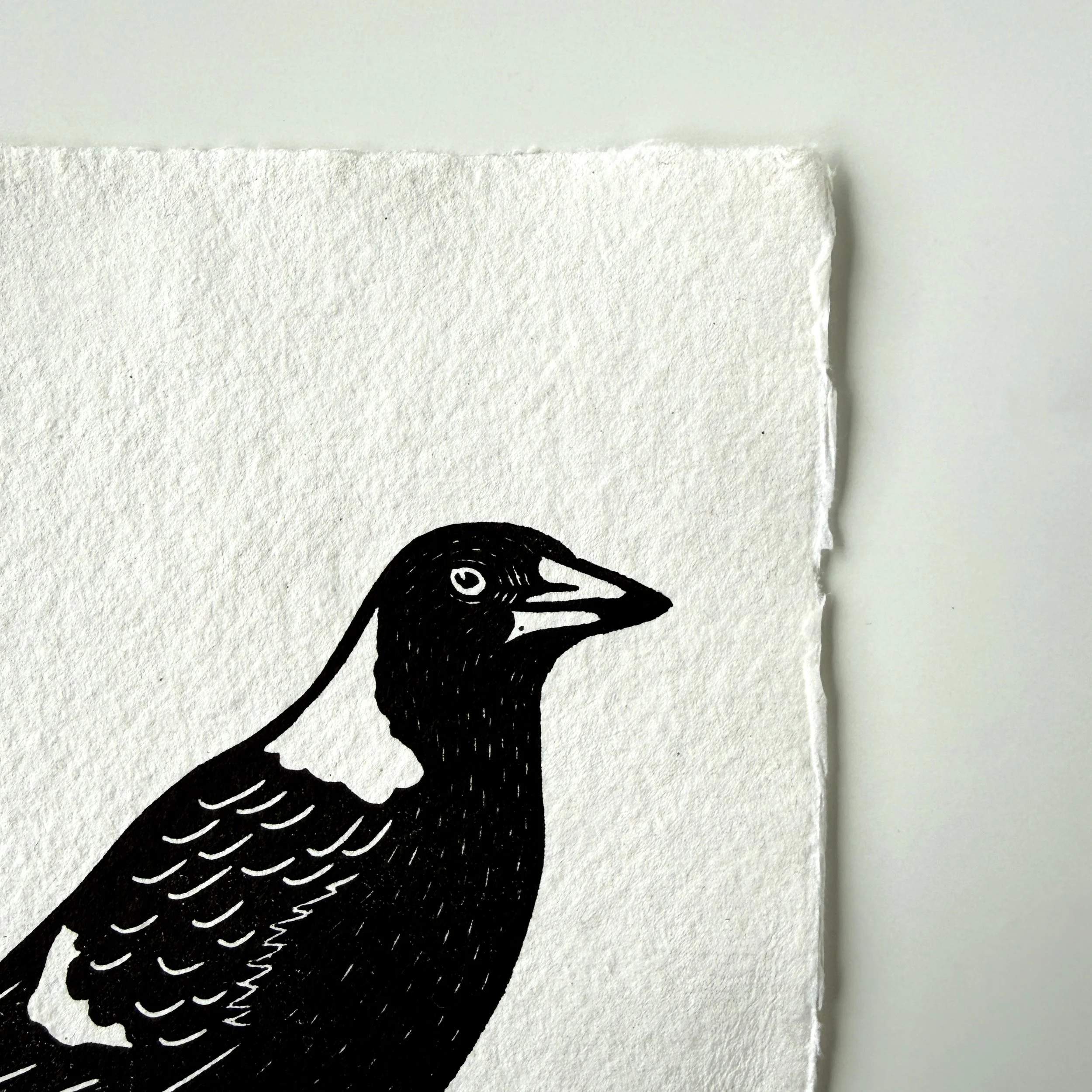Magpie_Linocut_Print_5.jpg