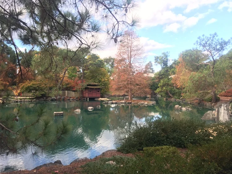  Glenn Barkely has managed to unite his love of horticulture and art for    Objects in Space: Artists in the Gardens    his latest curatorial project at Peacock Art Gallery and Auburn Botanic Gardens. 