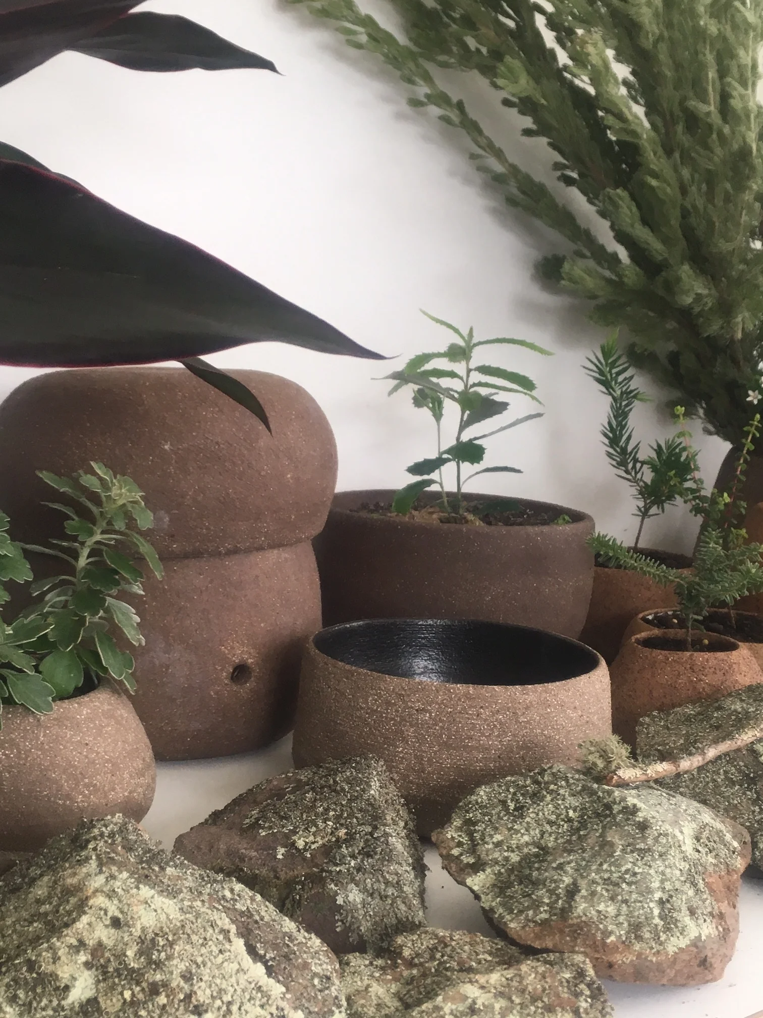   Liane Rossler  is one of the amazing artists participating in the Wellington residency project   At the Junction of Two Rivers  . Our recent studio visit to Liane's studio brought together a few of Glenn's favourite things - art, pots and plants. 