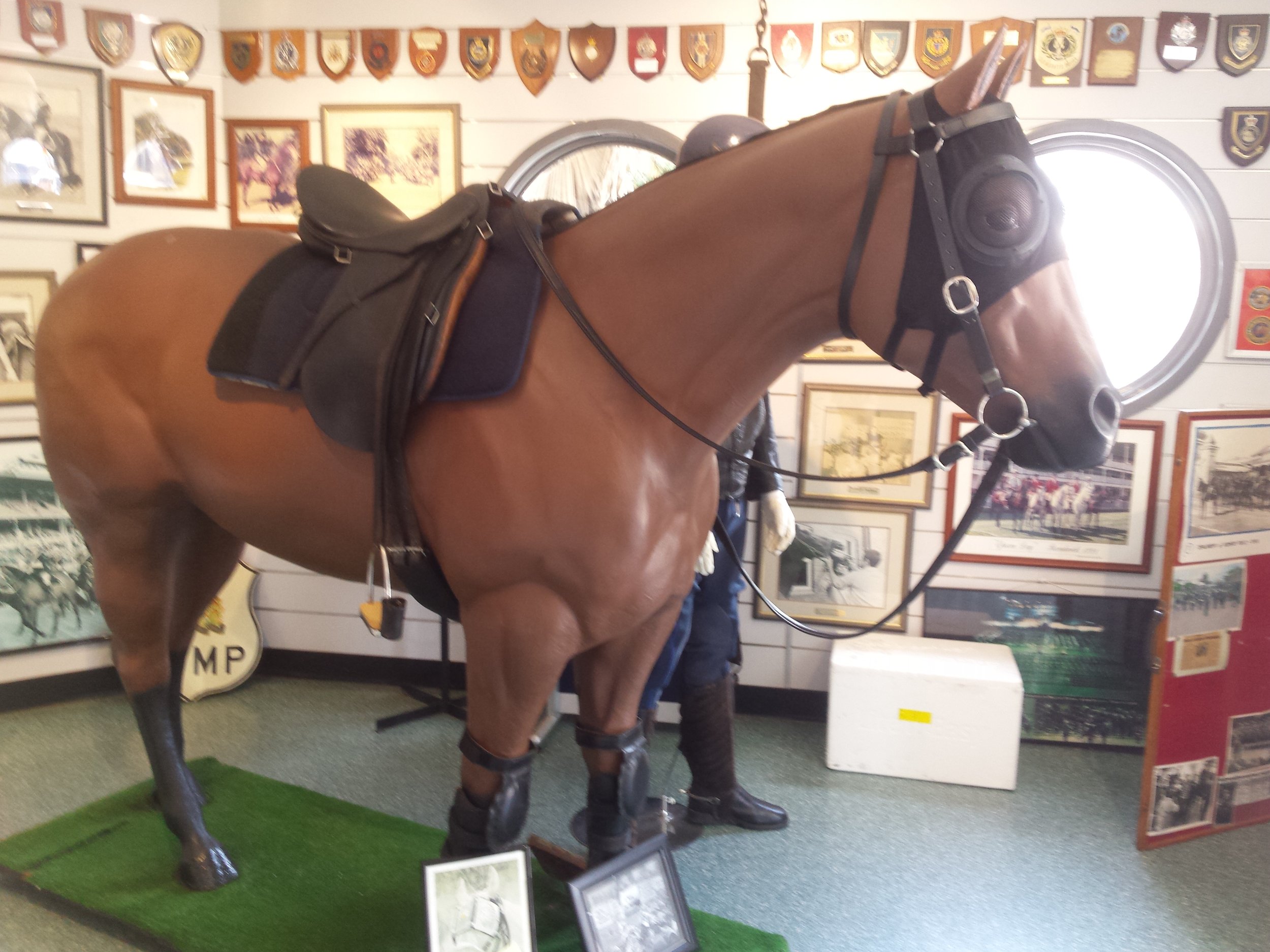 As part of our research for the Customs House exhibition Something else is Alive: Sydney and the Animal Instinct , we ventured to the the NSW Mounted Police Museum at the Redfern barracks. Here is Fibre the horse modelling equine riot gear.