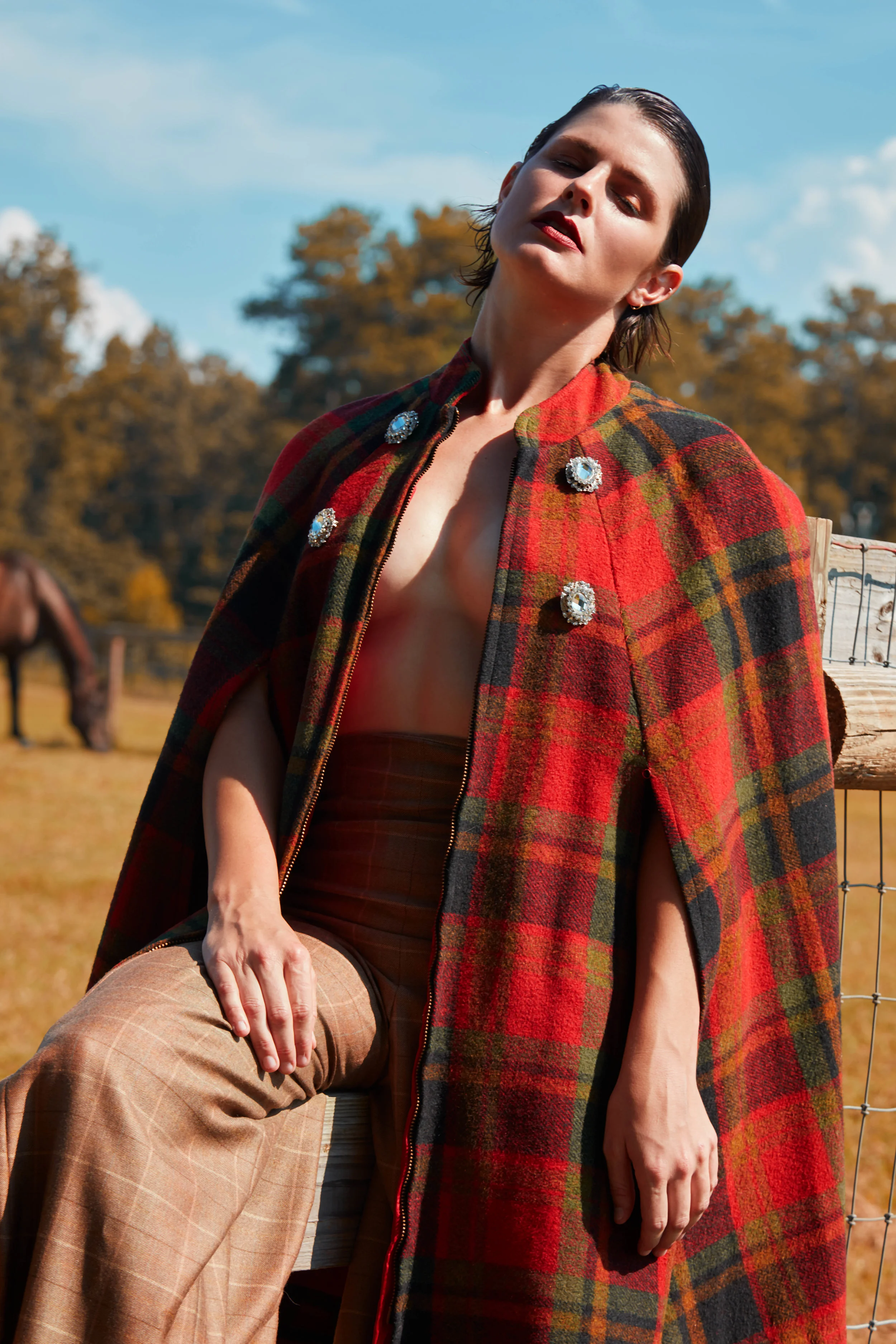 EQUINE (3 of 11).jpg