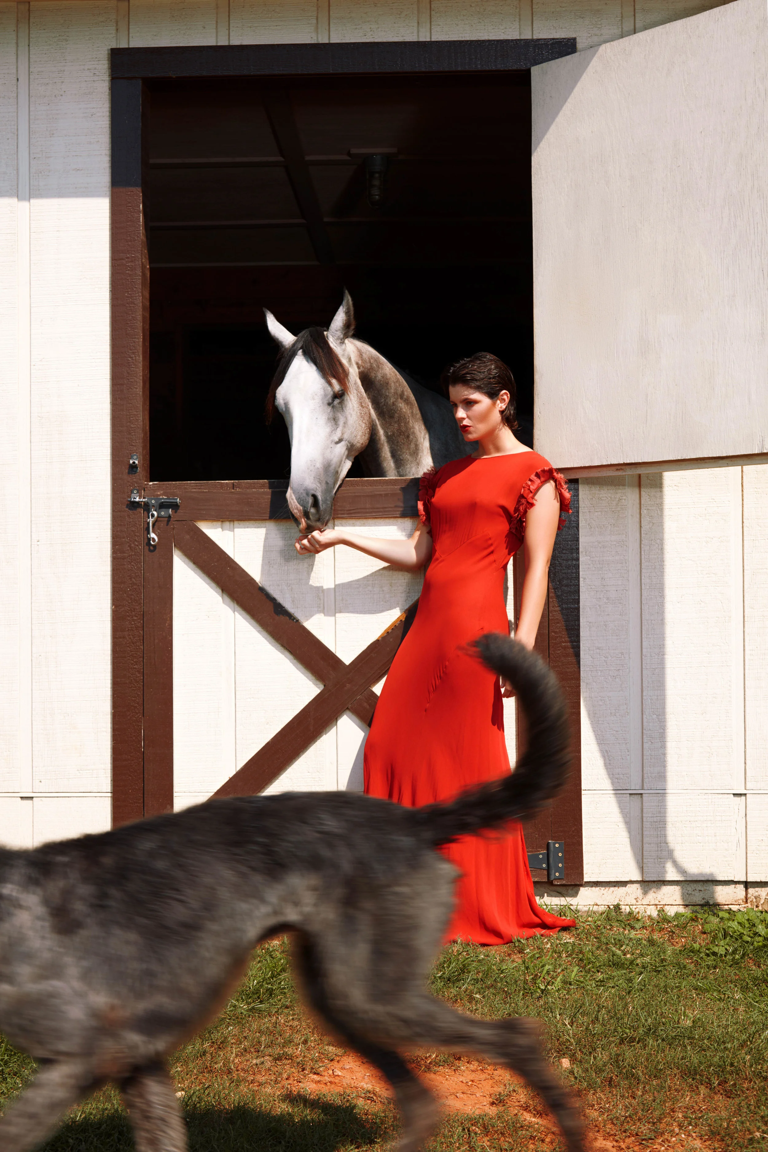 EQUINE (2 of 11).jpg