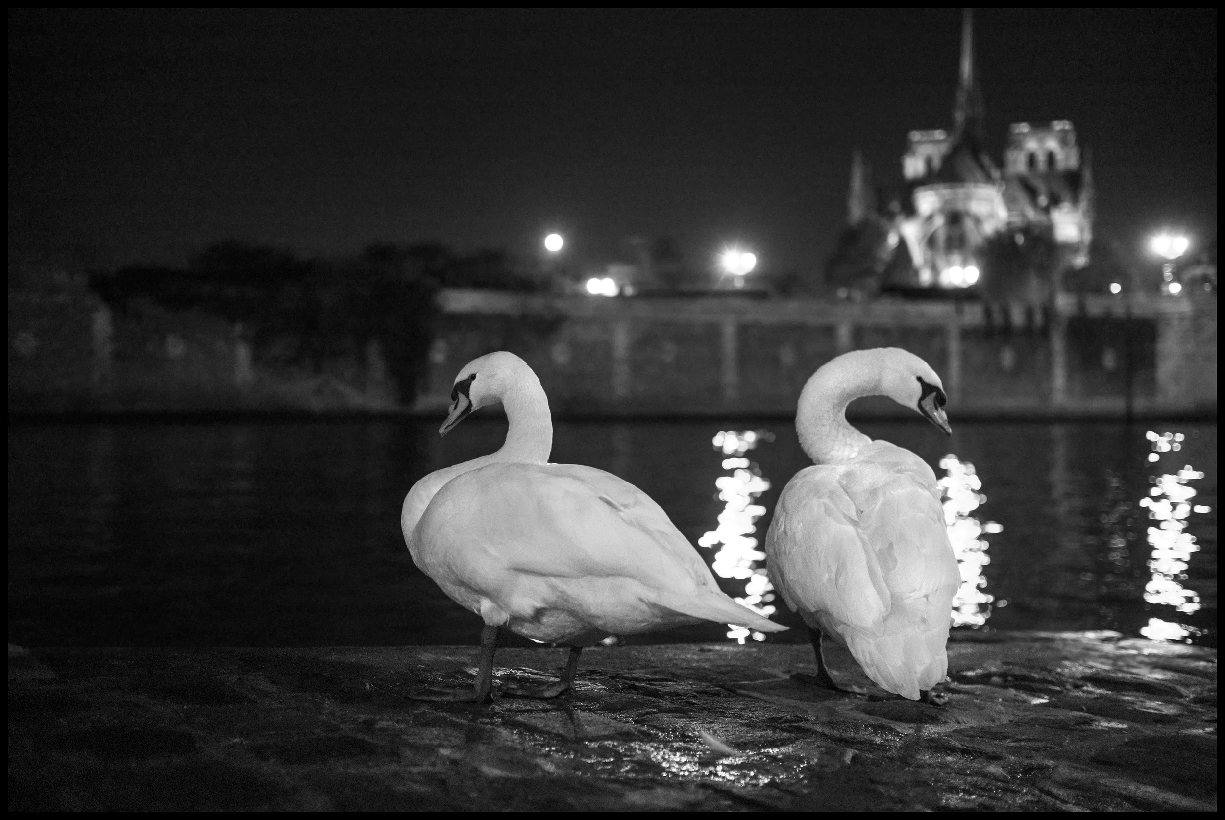  Ile Saint-Louis 2011