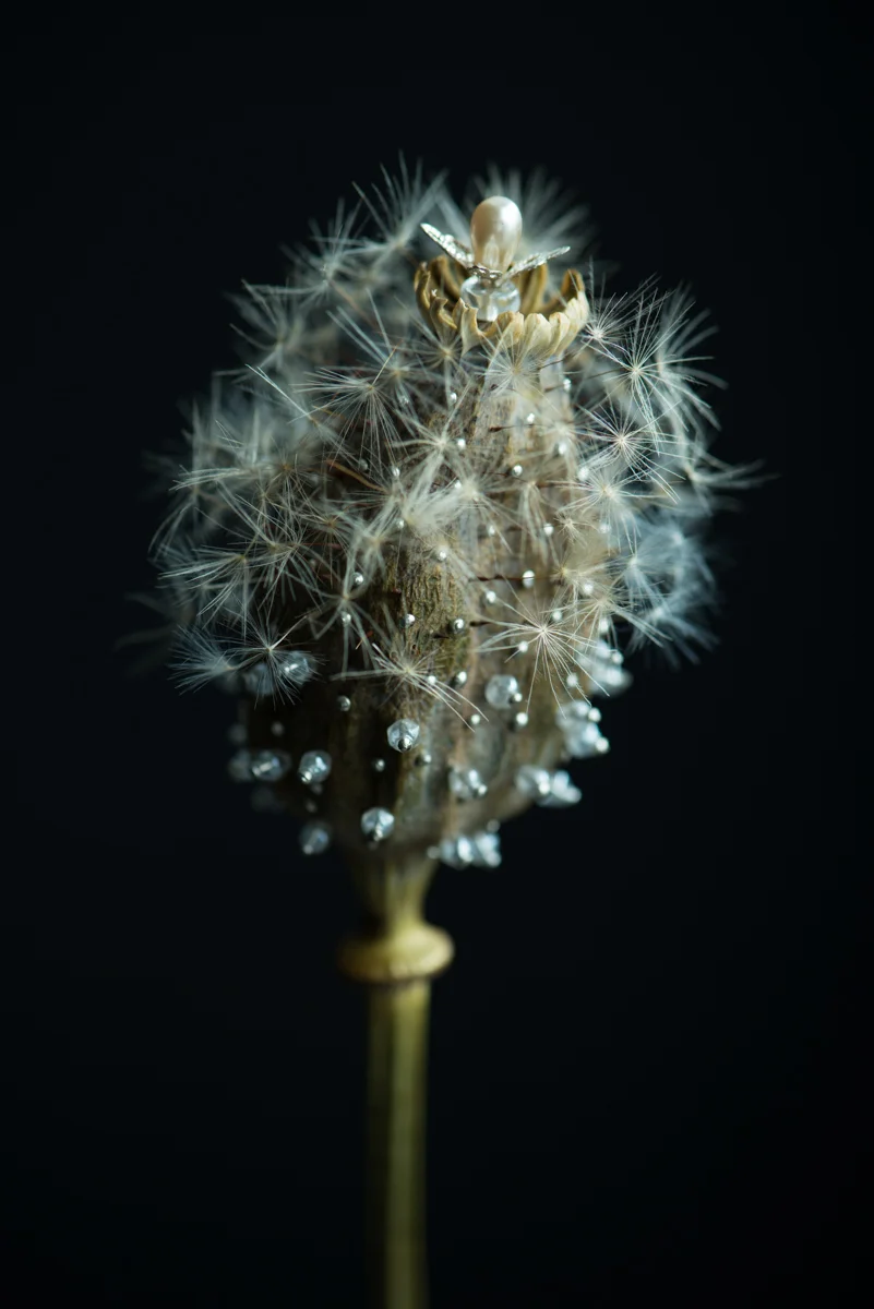 Dandelion #06, 2014, 83.4 x 120 cm/ 104 x 150 cm