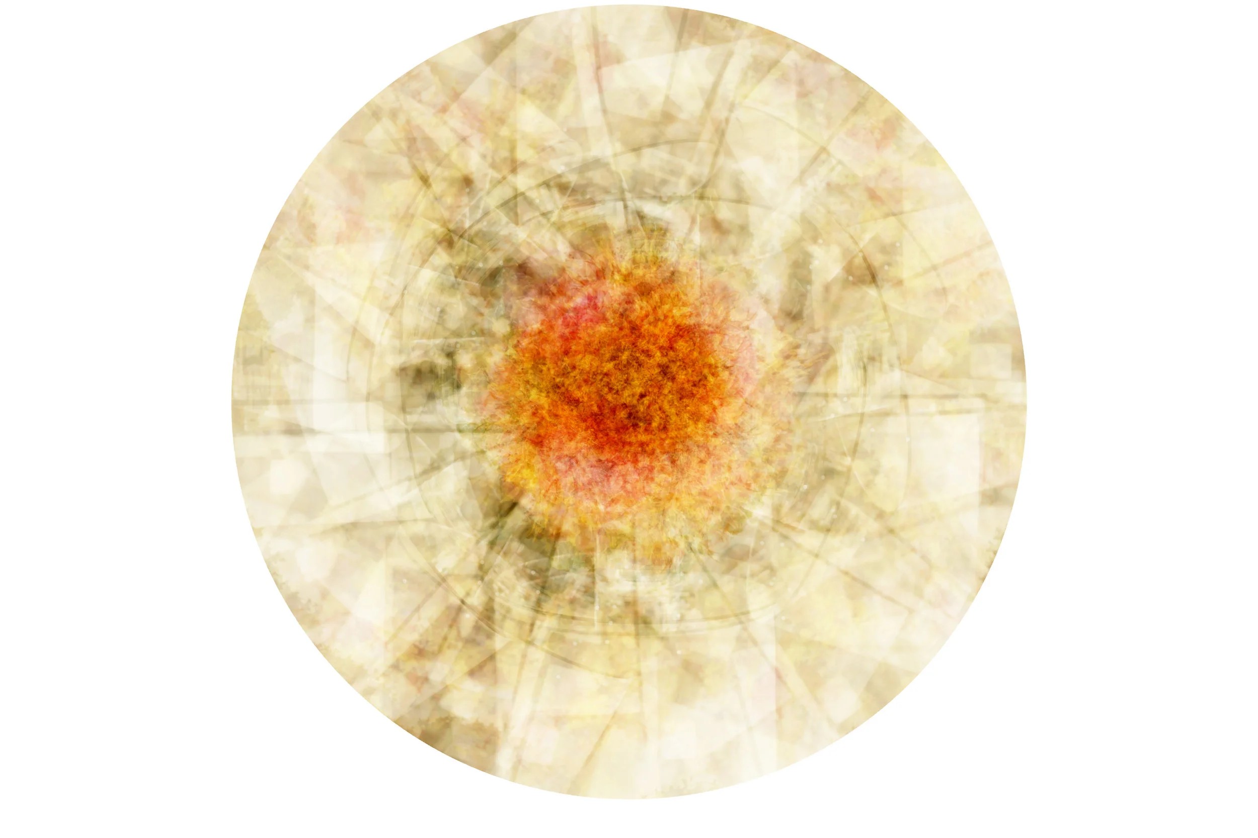 Eclosion-H -36 x 36 cm.jpg