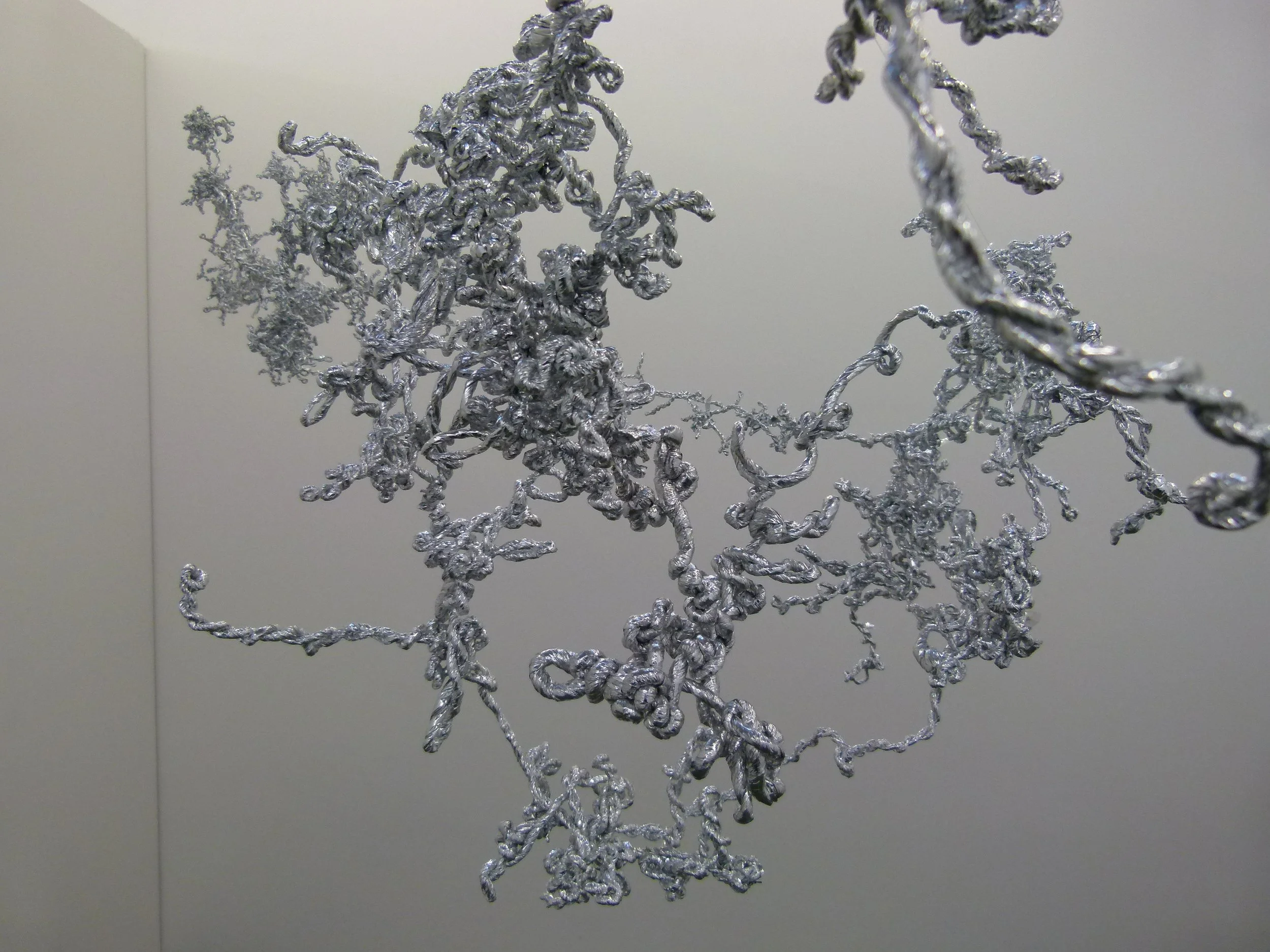 P1280907 suspended 3.JPG