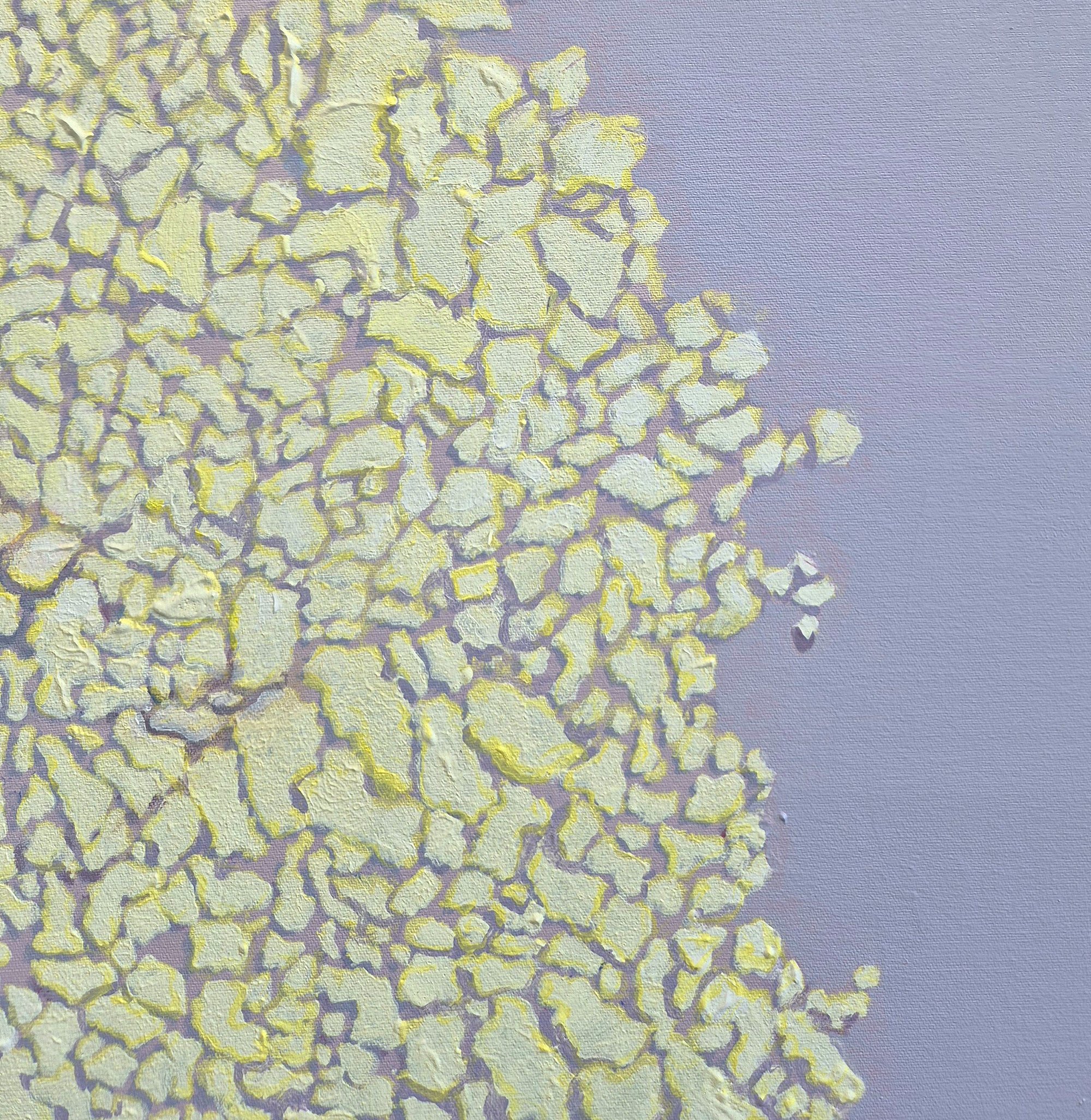 Untessellation forms on mauve (detail) 2000pw.jpg