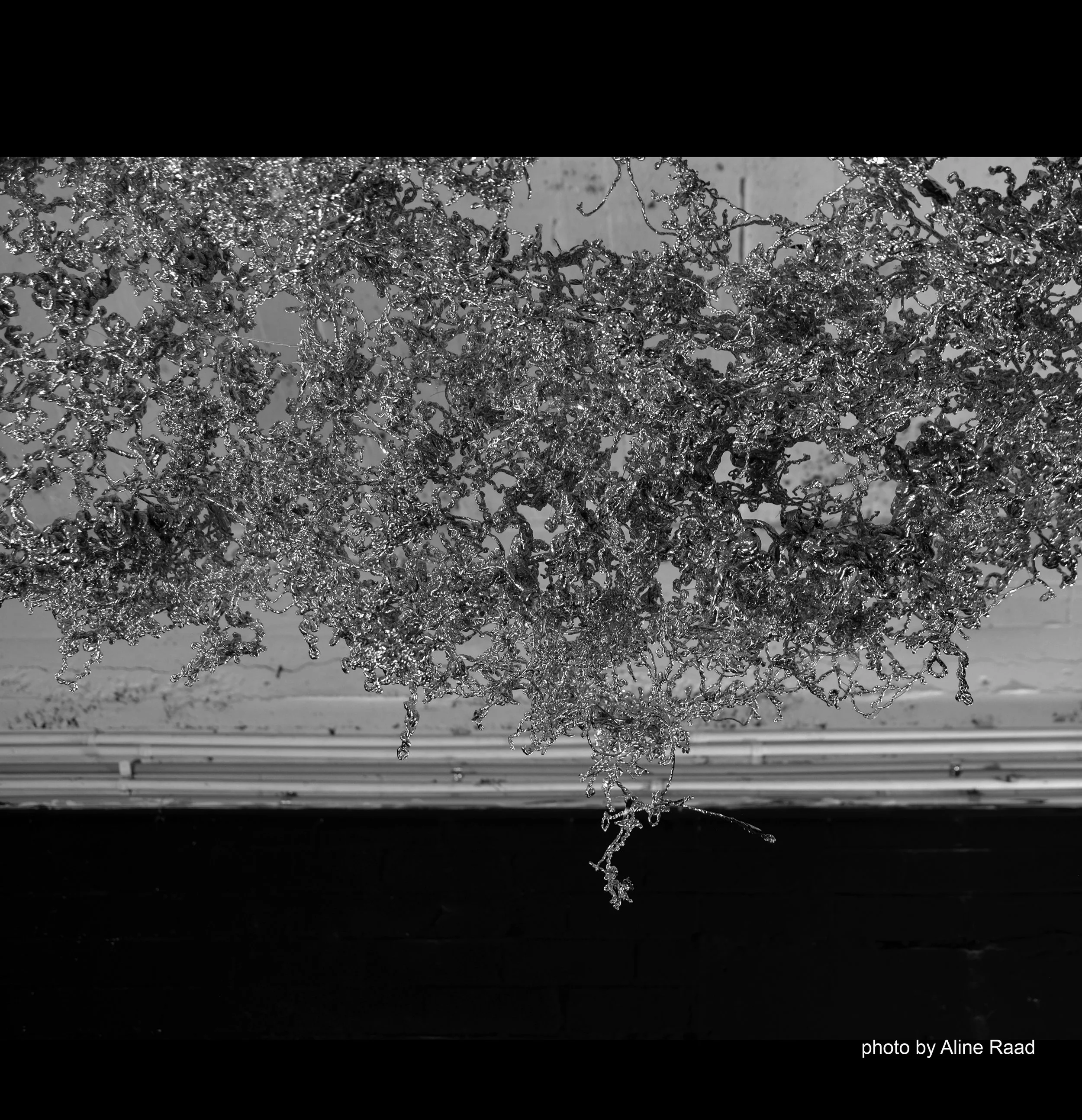 Twist image horizontal by AR.jpg