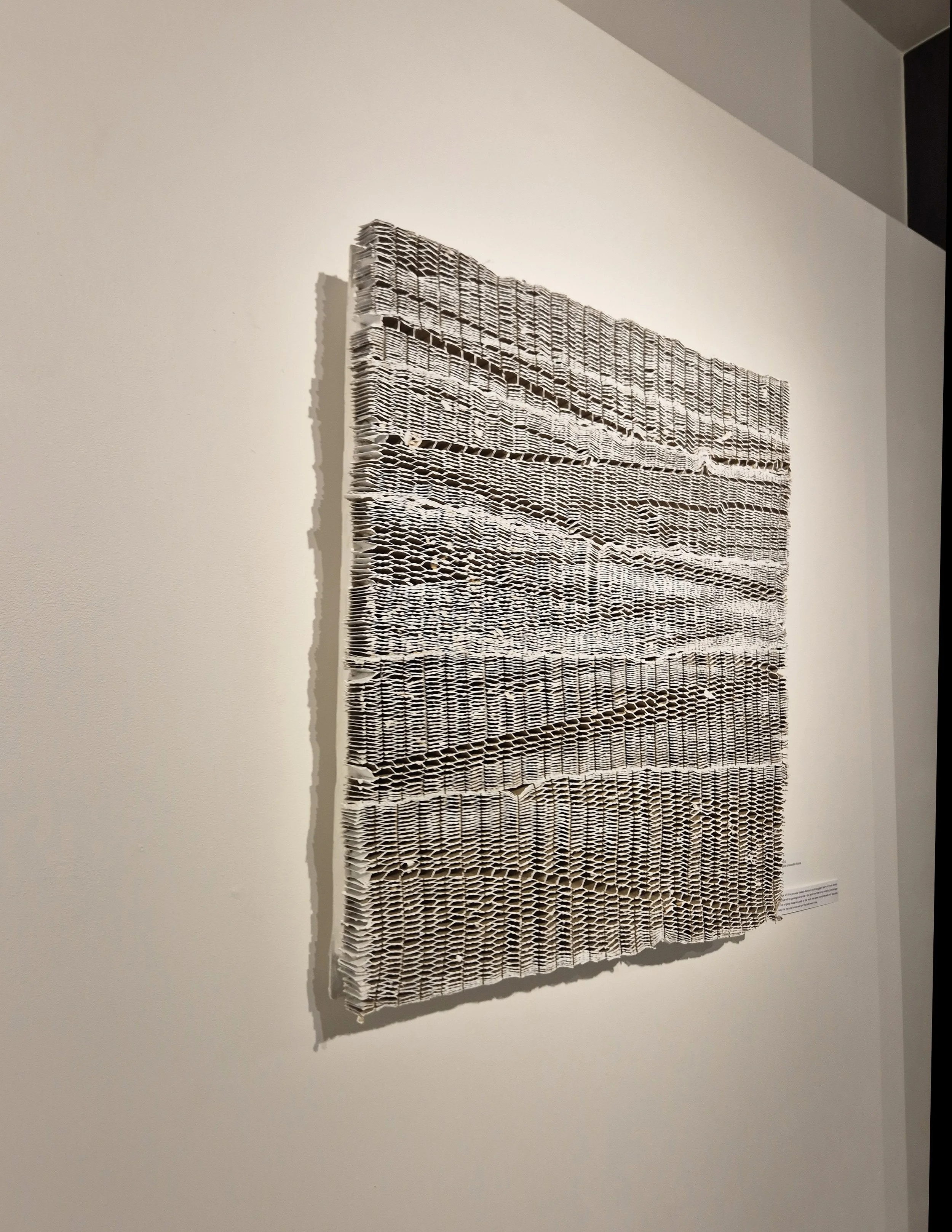 stratified landscape (install image 2).jpg