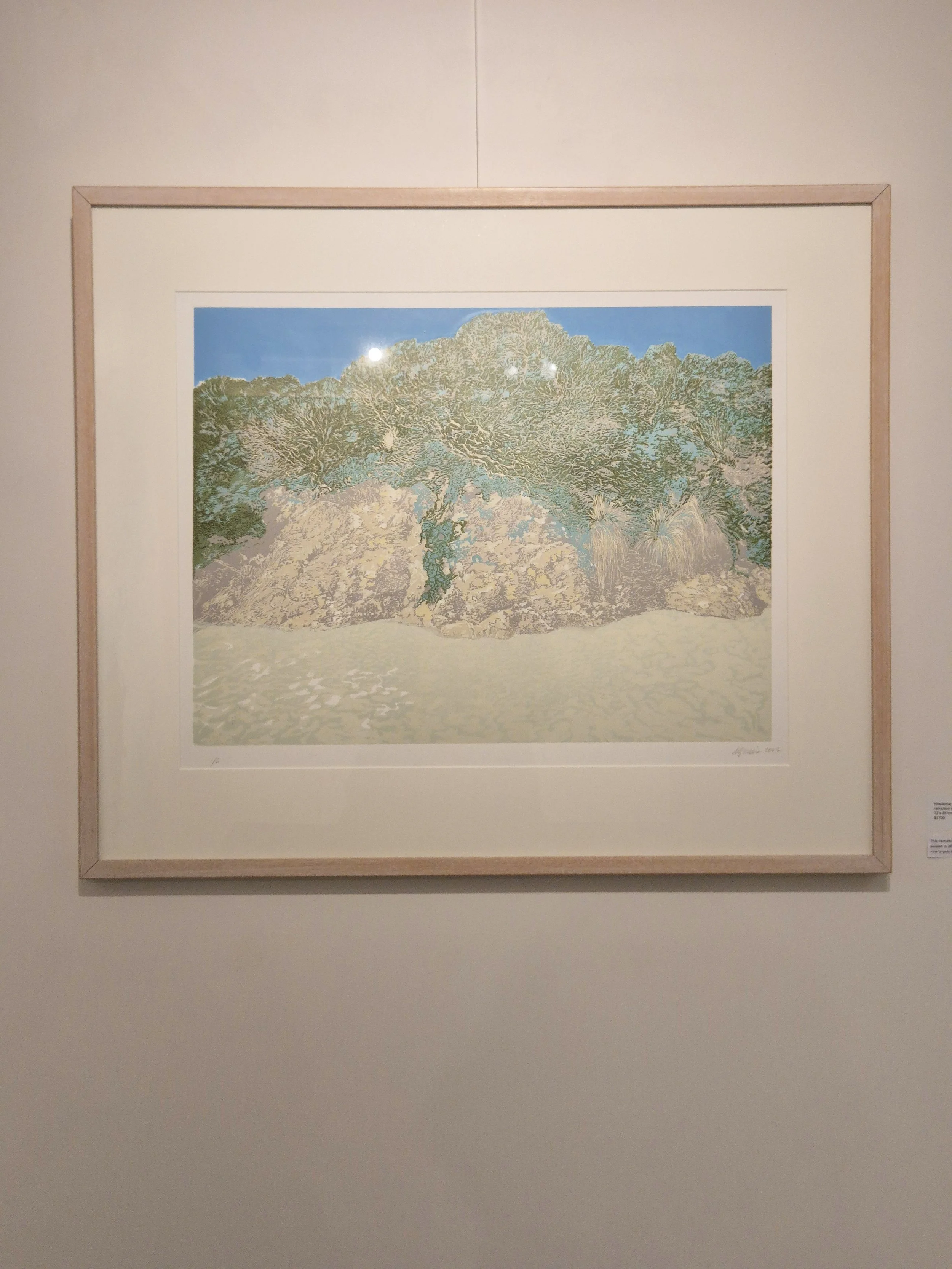 woolamai cliff (install).jpg