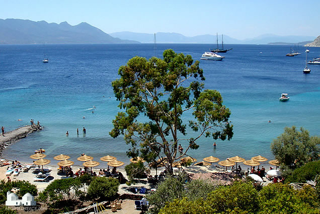 Aegina_island_Greece_sarpa_beach.jpg