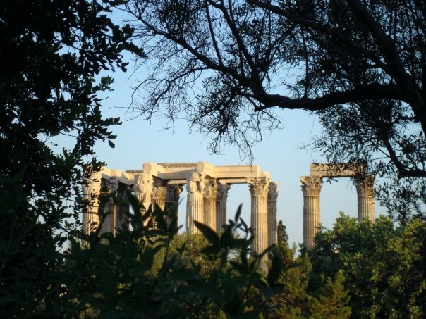 columns through the trees.jpg