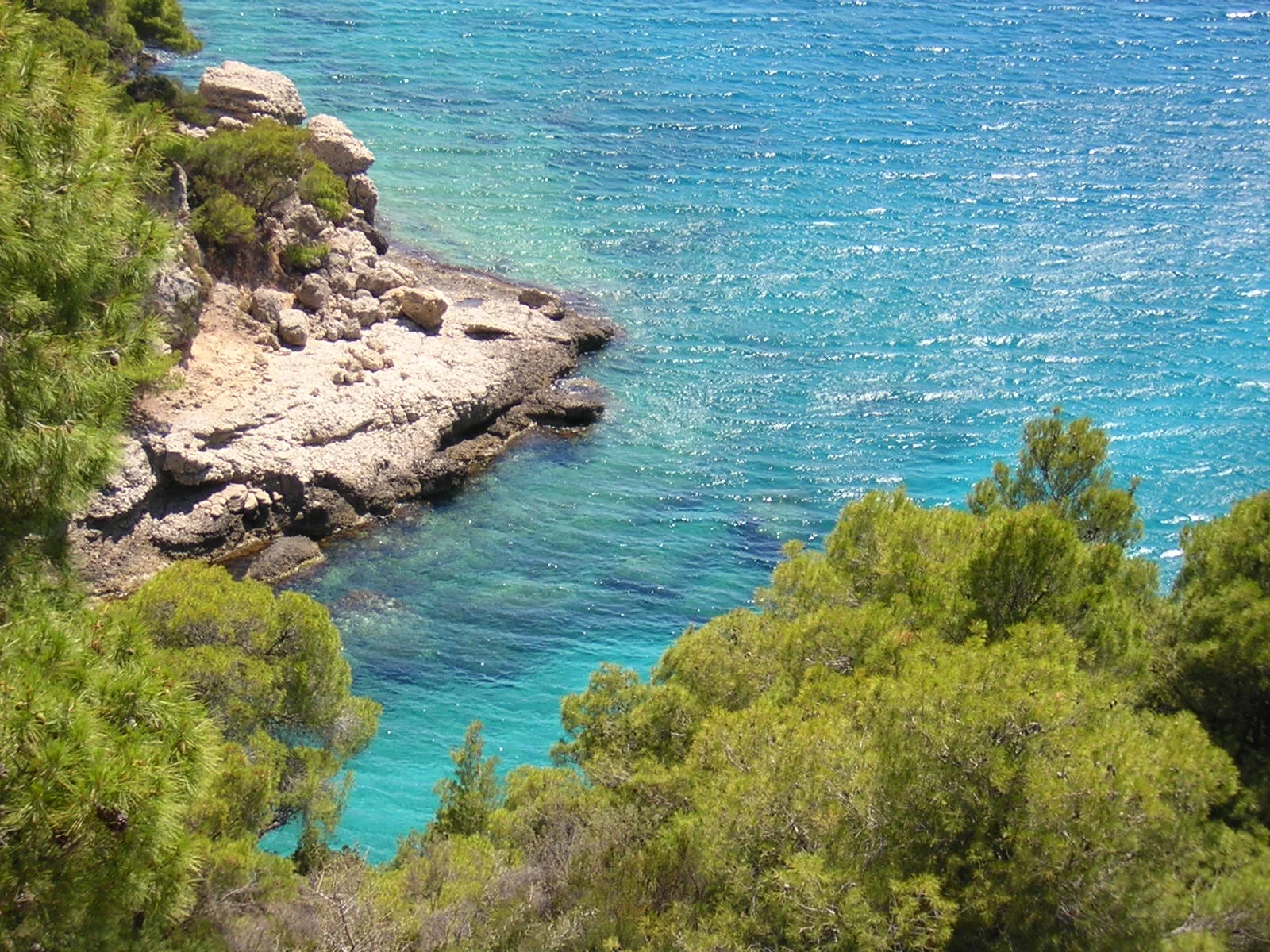spetses water and pines3.JPG