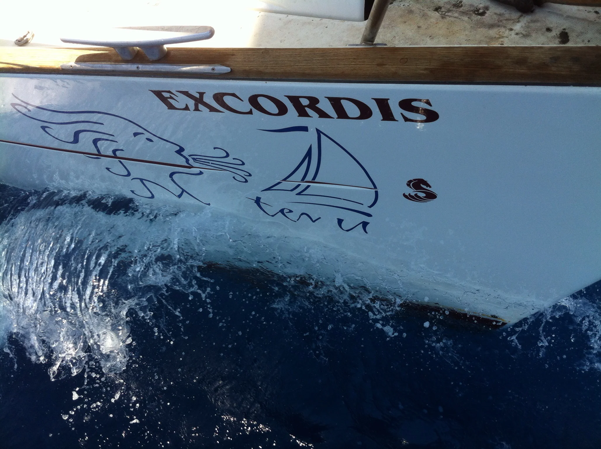 excordis bow.JPG
