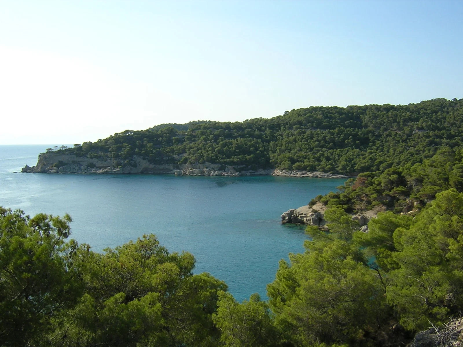 spetses water and pines2.JPG