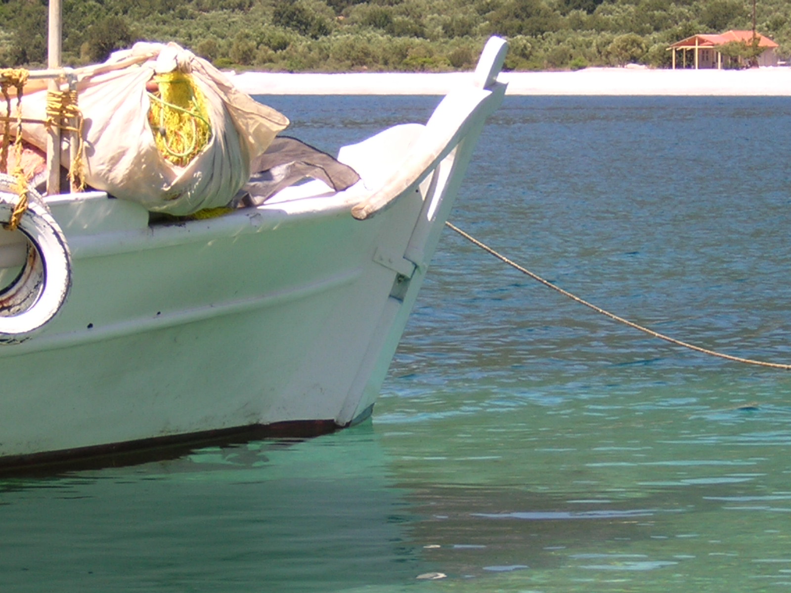 Copy of DSCN3502.JPG