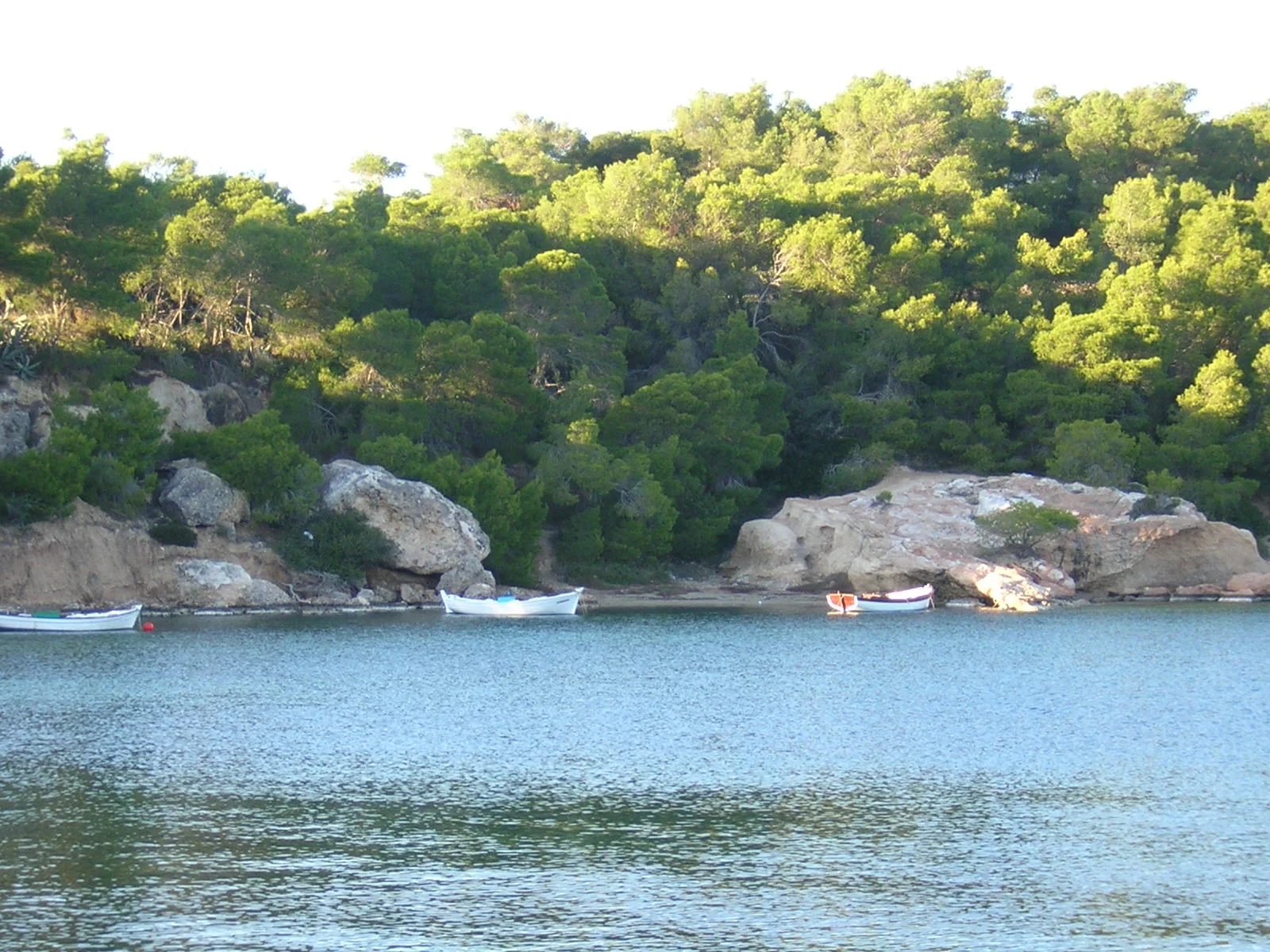 DSCN3762.JPG