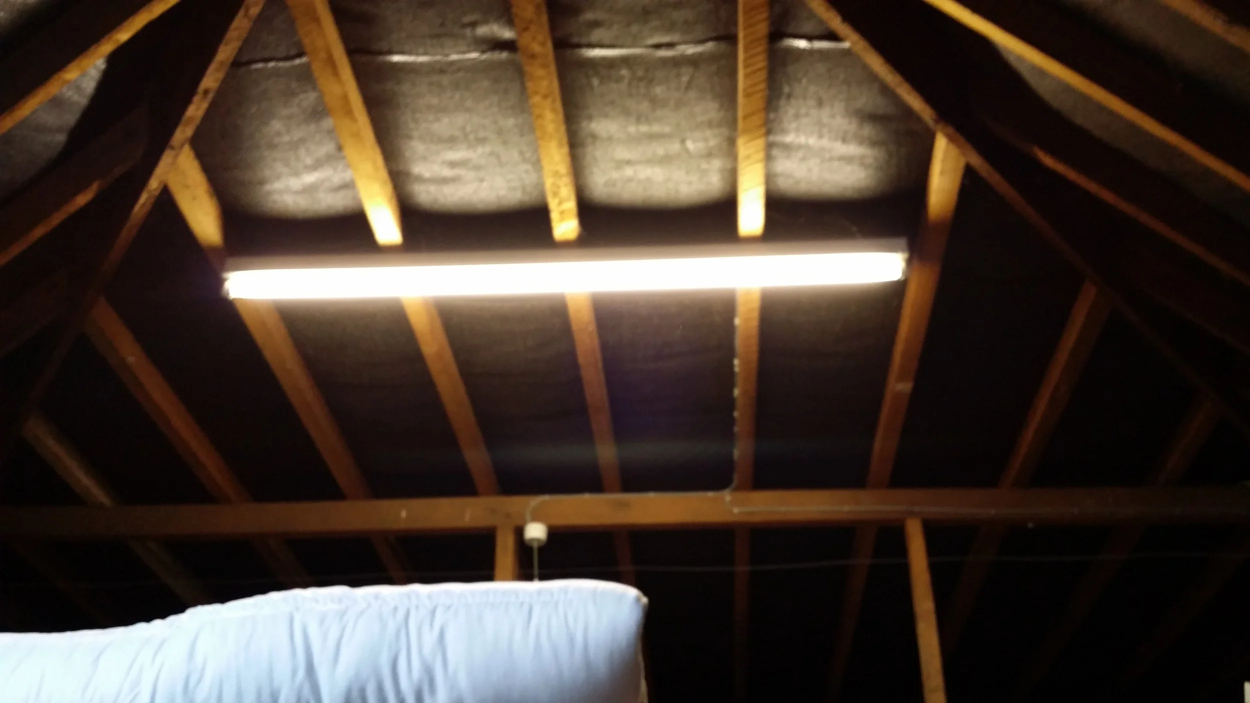 Pre Conversion - Loft Space - Rear East Roof Slope