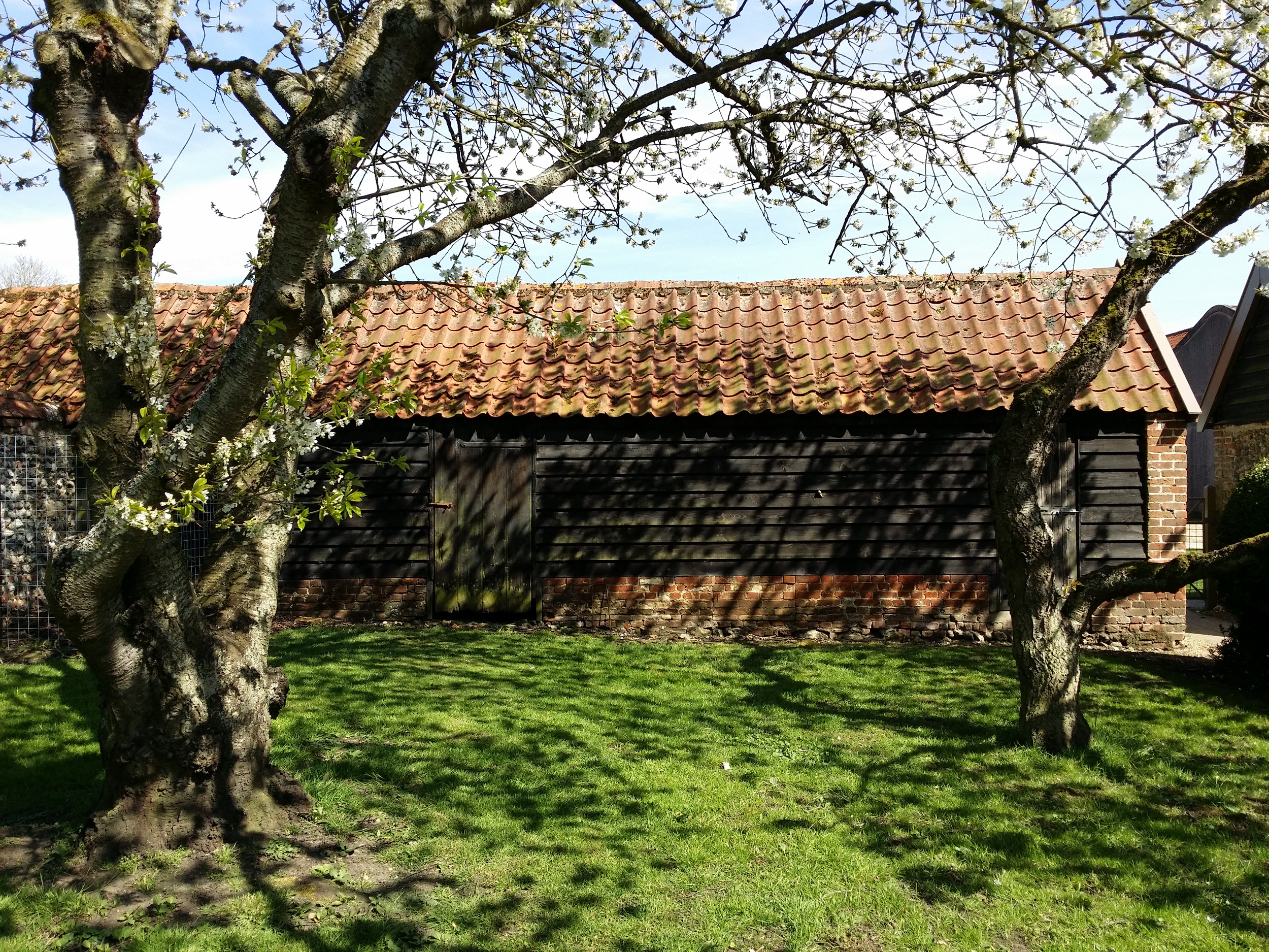 20140409_121451.jpg