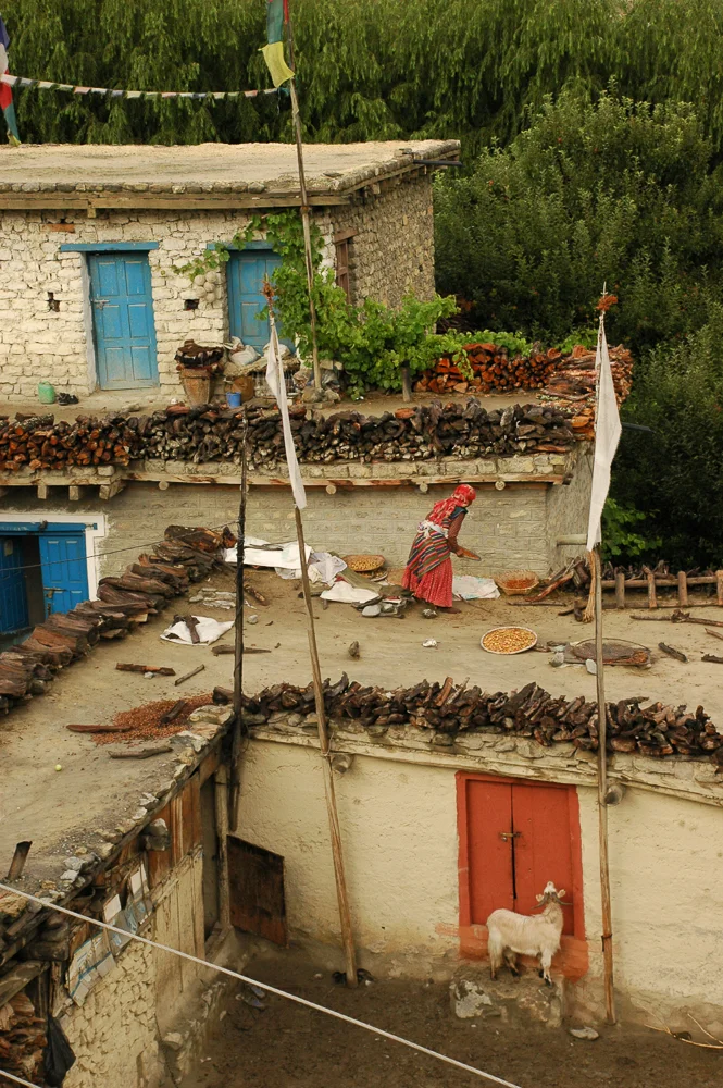 20070801-Img2007-08-01 065336.jpg