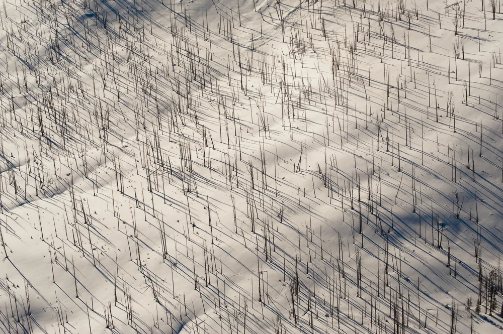 Casting long shadows in the mountains of Montana