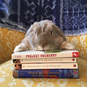 Izzy is always recommending books. Have you read these books by Linda Sue Park, Lawrence Yep, and Grace Lin? They are fantastic!