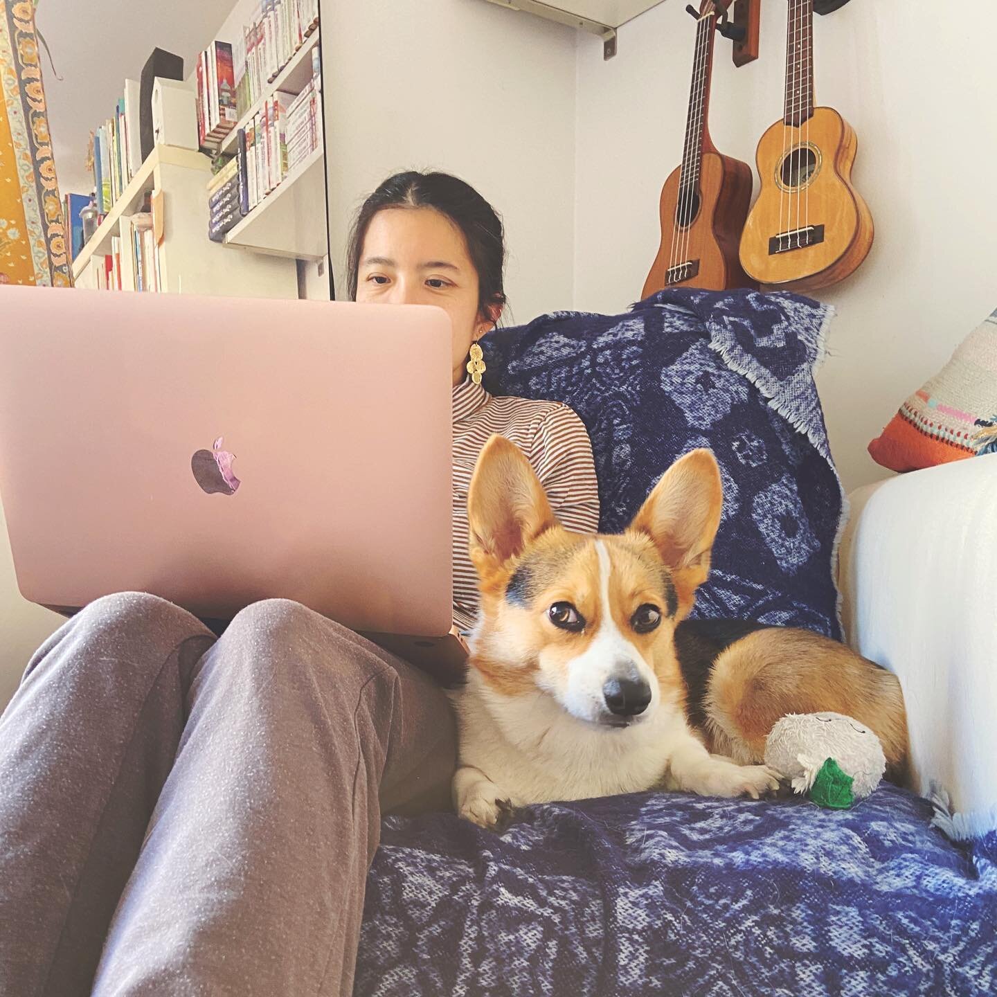 The writer and her dog in their natural habitat, aka the writer is drafting a new book and doesn&rsquo;t move from this armchair  for hours at a time while her dog patiently awaits the next snack break. 💕 Thanks for the photo, @kaela.the.violin.kid 
