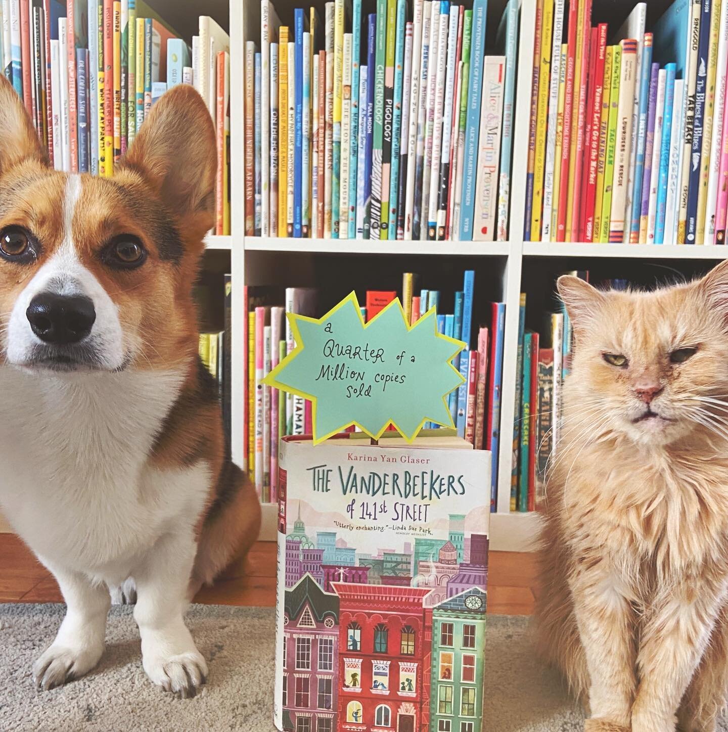 I learned something new today! The Vanderbeekers of 141st Street has sold over a quarter of a million copies! I am so grateful to everyone who has read and shared and reviewed and recommended this book. Thank you thank you thank you! ❤️💕✨ Also I kno