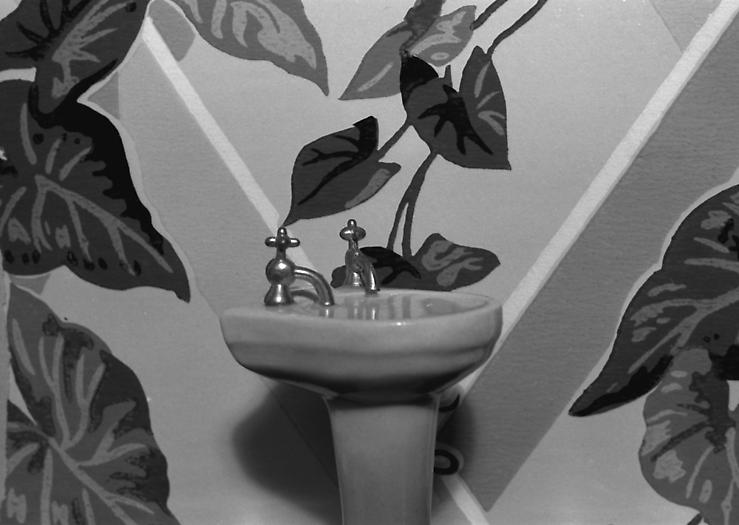 Sink/Ivy Wallpaper, 1976