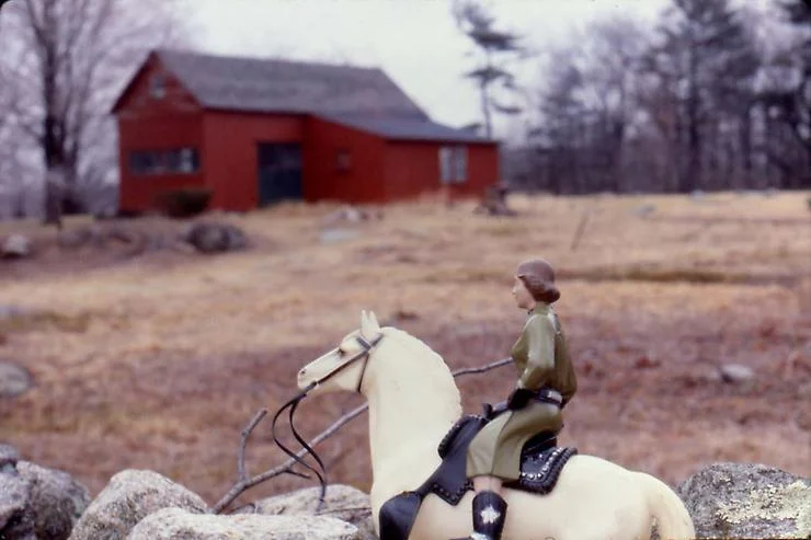 Woman/Green Shirt/Red Barn, 1979