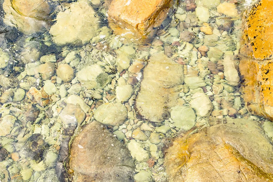 toddhardinghamphoto555-18 (1).JPG