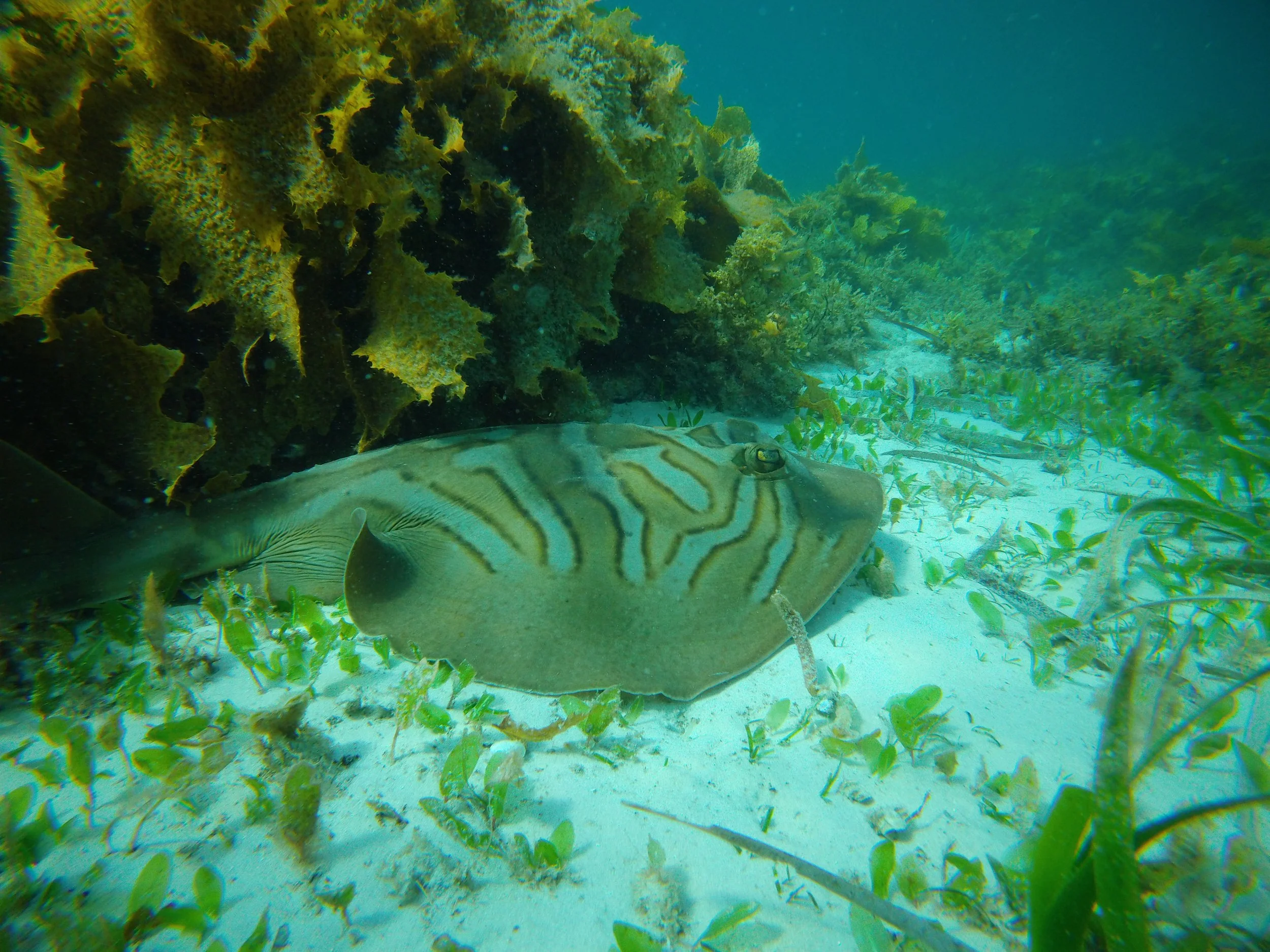 Copy of GOPR0549.JPG