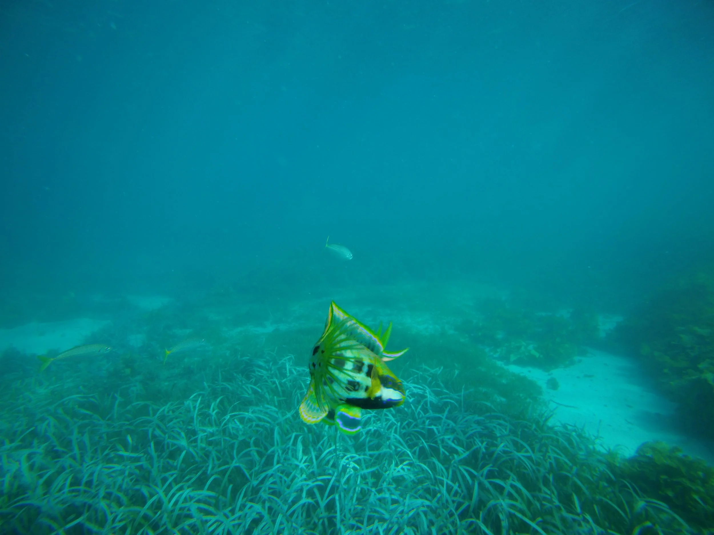 Copy of GOPR0617.JPG