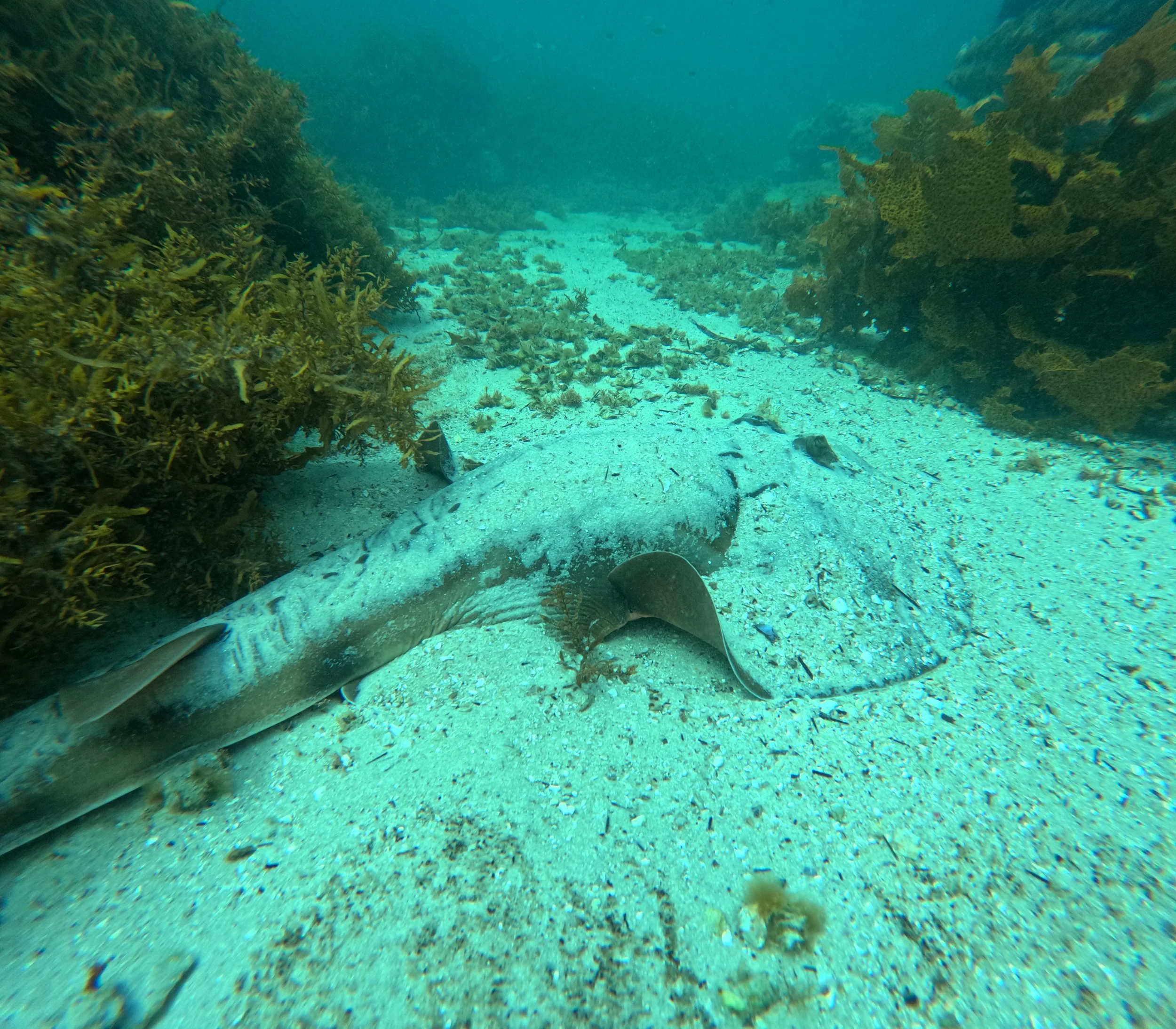 GPTempDownload 5.JPG