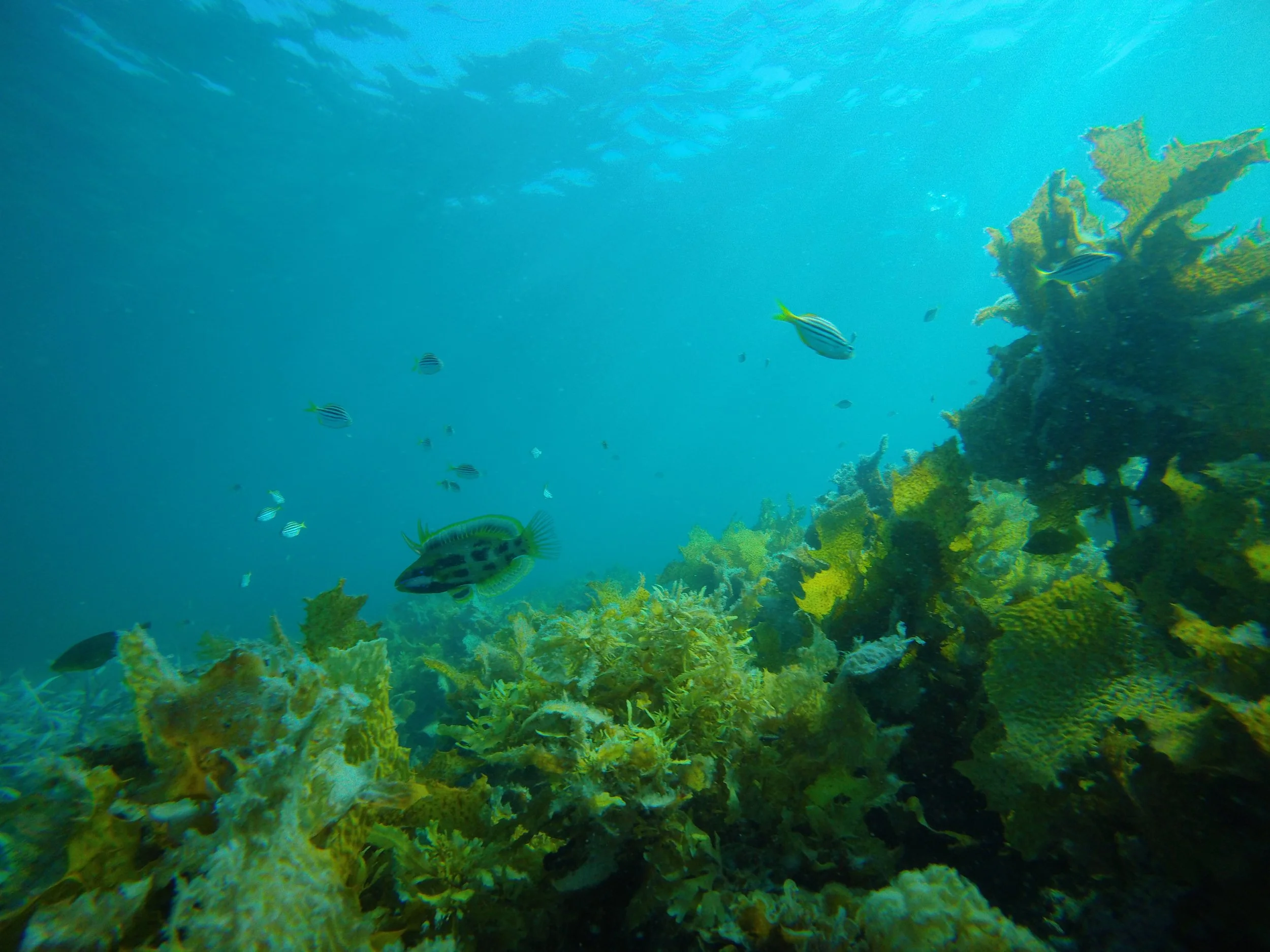 Marine Education Progams