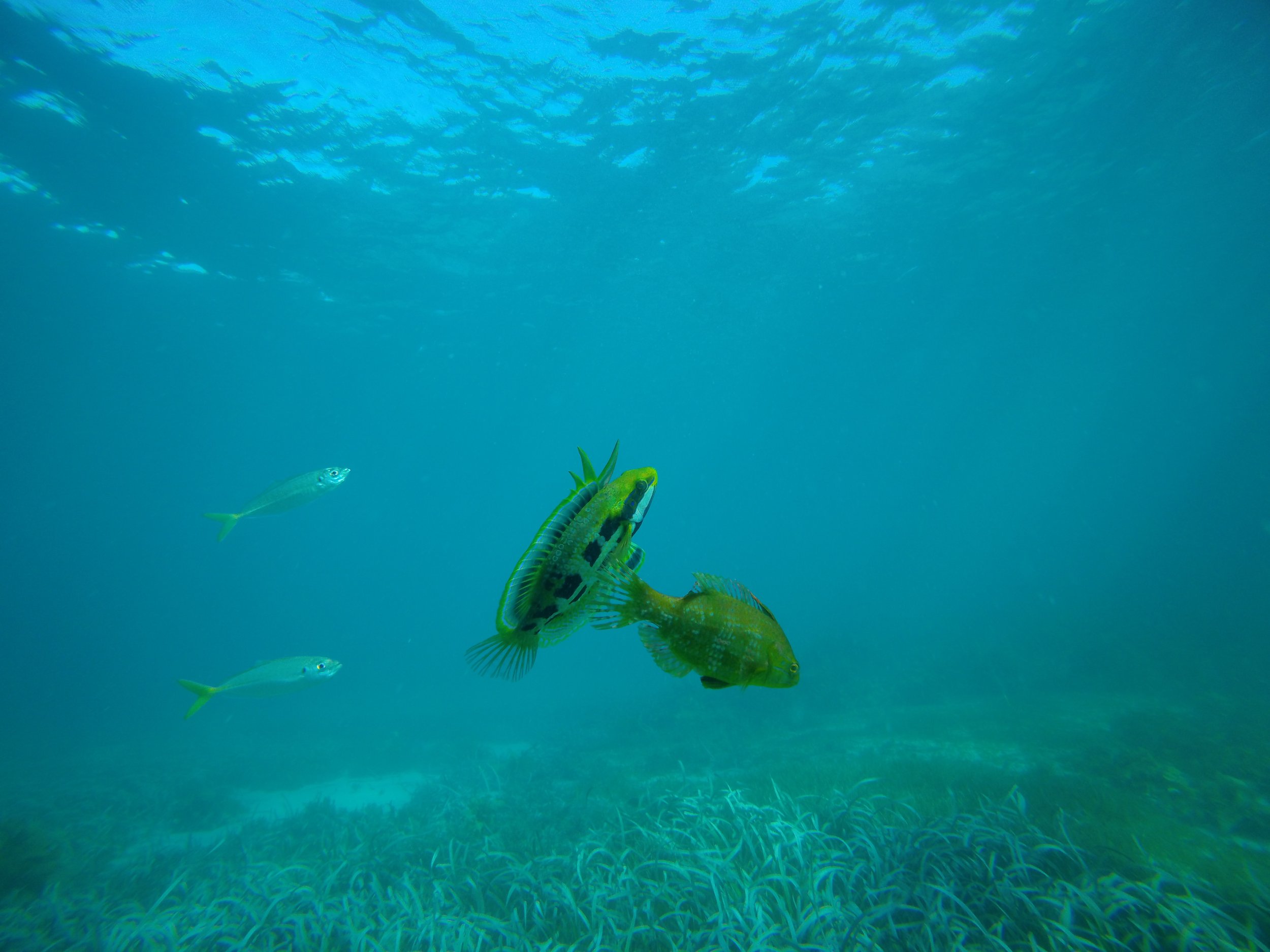 Special Offer for local businesses, accommodation hosts and community groups