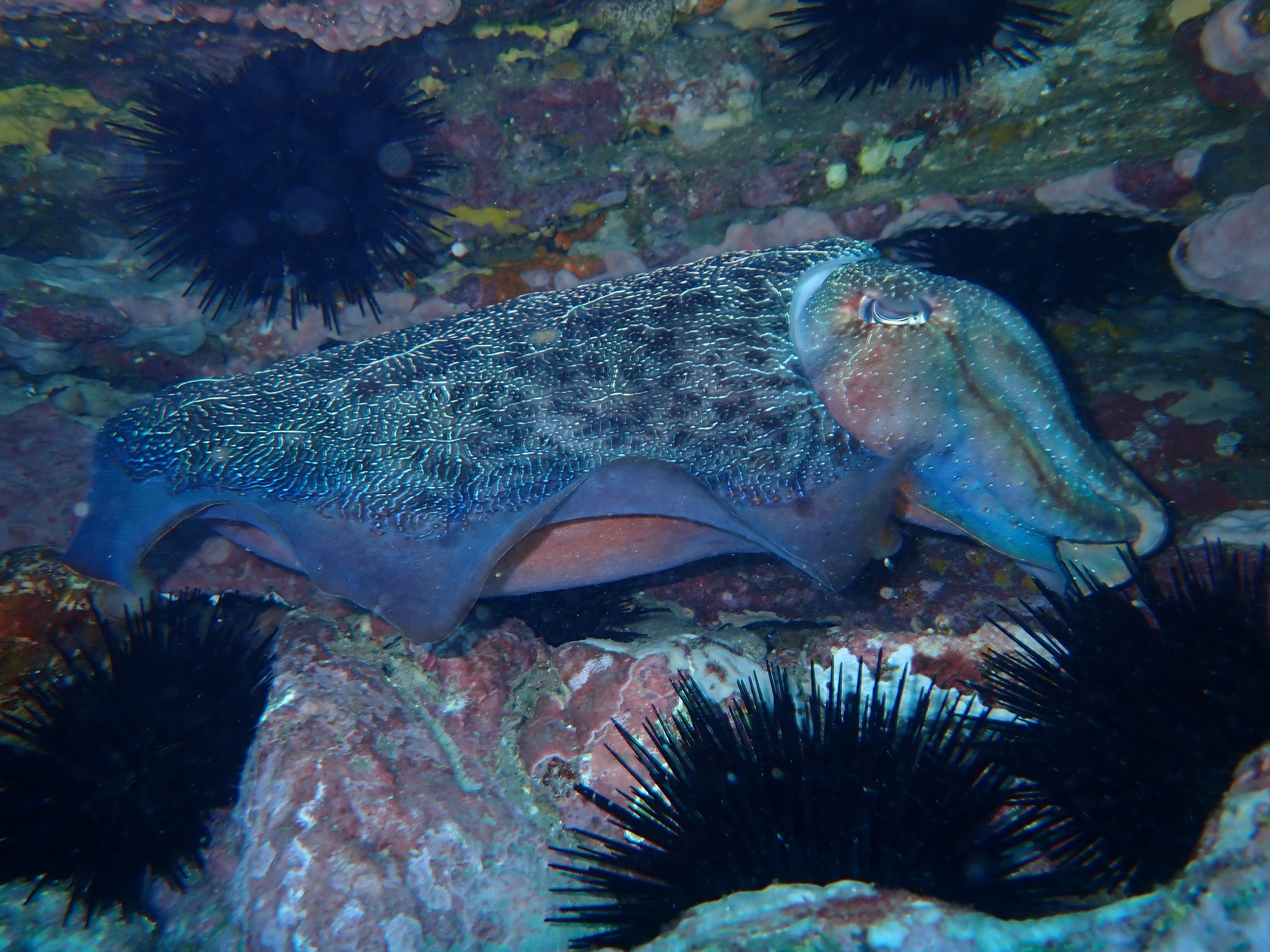 P2170843.JPG