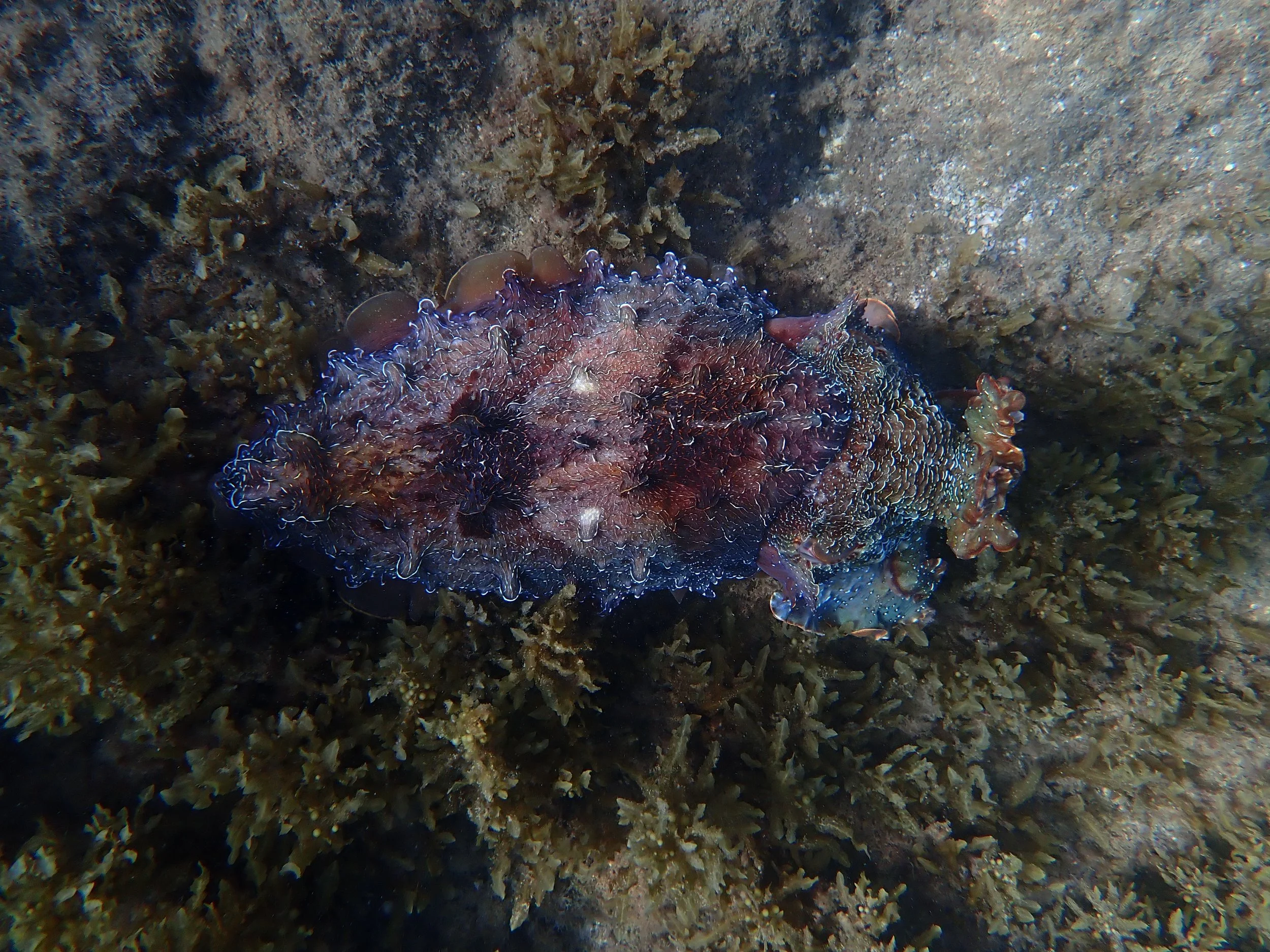 P4183297.JPG