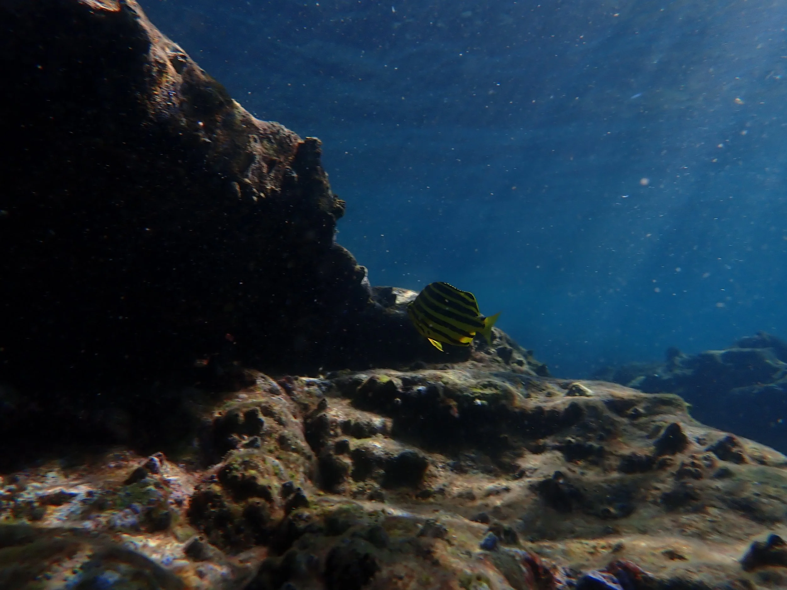 P4183332.JPG