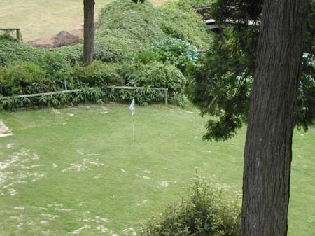 dscn0668.jpg