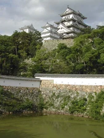 dscn0780.jpg