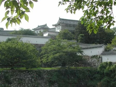 dscn0779.jpg