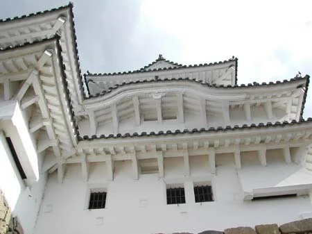dscn0729.jpg