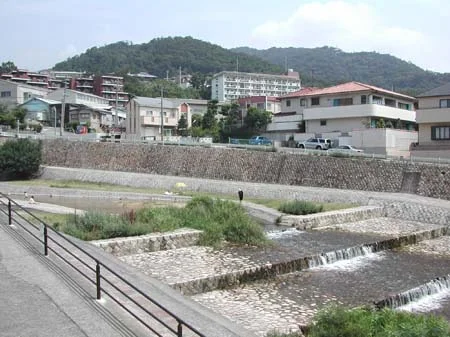 dscn0561.jpg