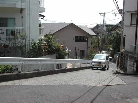 dscn0556.jpg