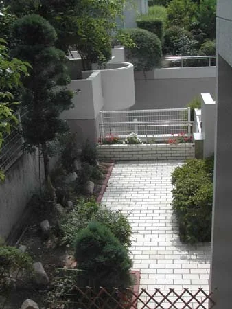 dscn0545.jpg
