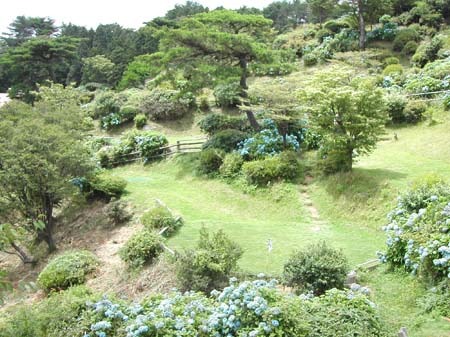 dscn0669.jpg