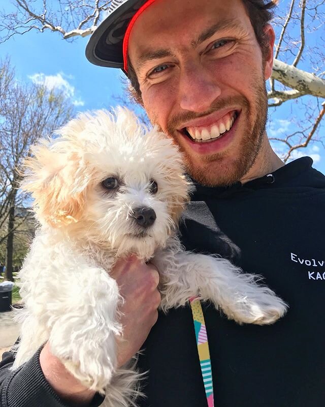 Having a GREAT hair day for her first walk outside, this bundle of trouble, Ms. Goofy Glantz, is a keeper!