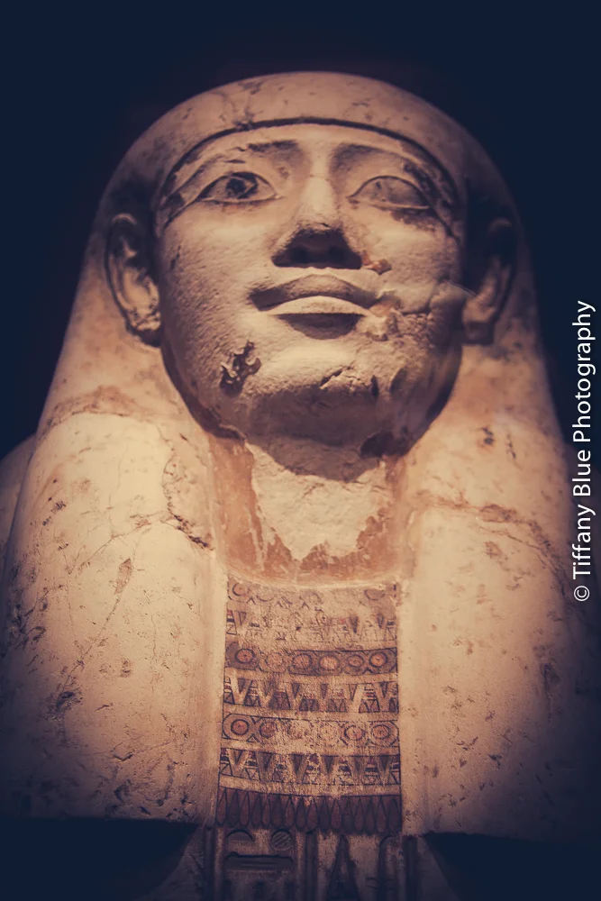 untitled (1 of 73).jpg