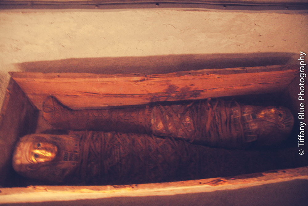 untitled (2 of 73).jpg